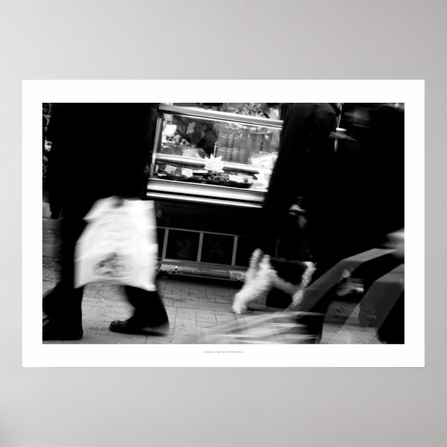 Rue Daguerre Paris Homage to Agnes Varda 6 Poster (Vorne)