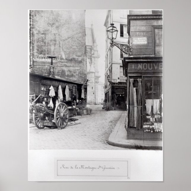 Rue de la Montagne Sainte-Genevieve Poster (Vorne)