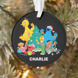 Rue Sésame Pals de Noël