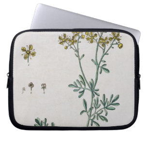 Rue, überziehen 7 von "einem neugierigen Kräuter", Laptopschutzhülle
