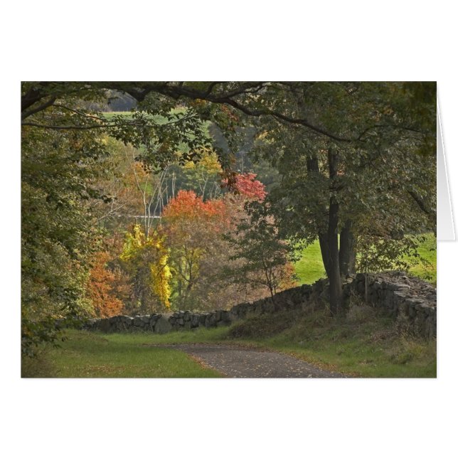 Ruelle de pays (Devant horizontal)