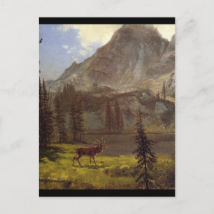 Ruf der Wilden - Albert Bierstadt Postkarte