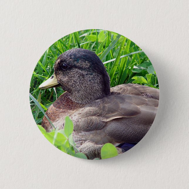 Ruf-Erpel Button (Vorderseite)