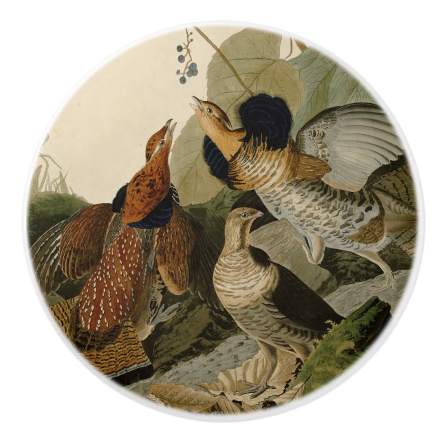 Ruffed Grouse Audubon Game Bird Keramikknauf (Vorderseite)