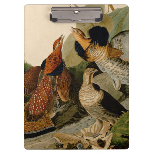 Ruffed Grouse Audubon Game Bird Klemmbrett