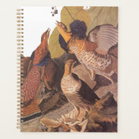 Ruffed Grouse Audubon Game Bird
