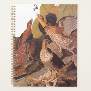 Ruffed Grouse Audubon Game Bird Planer