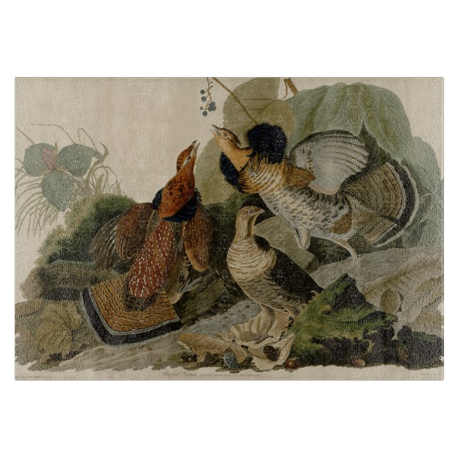 Ruffed Grouse Audubon Game Bird Schneidebrett (Vorderseite)