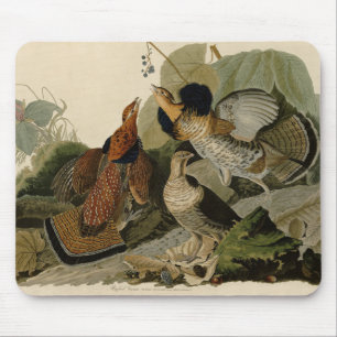 Ruffed Grouse - von Audubons Vögeln Amerikas Po Mousepad