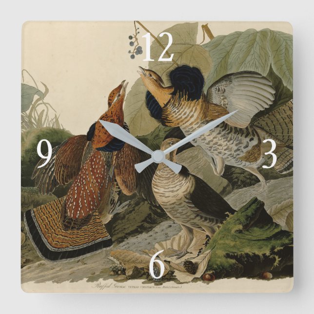 Ruffed Grouse - von Audubons Vögeln in Amerika Quadratische Wanduhr (Vorderseite)