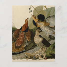 Ruffed Grouse von John Audubon Postkarte