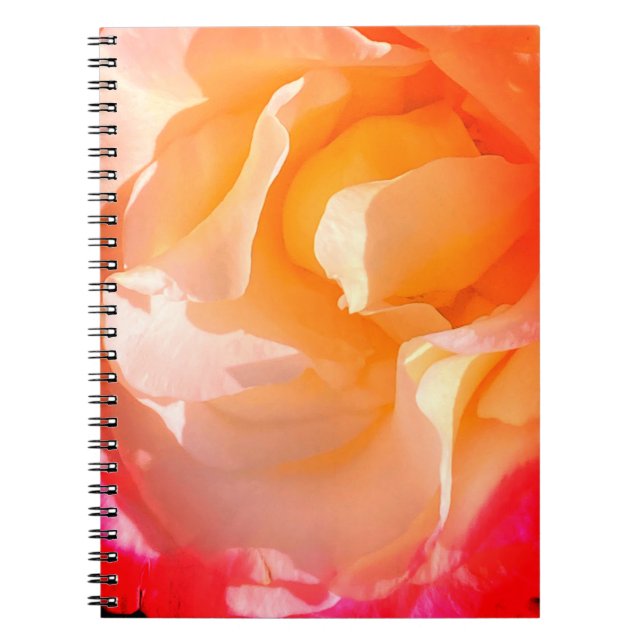 Ruffle Rose Notebook Notizblock (Vorderseite)