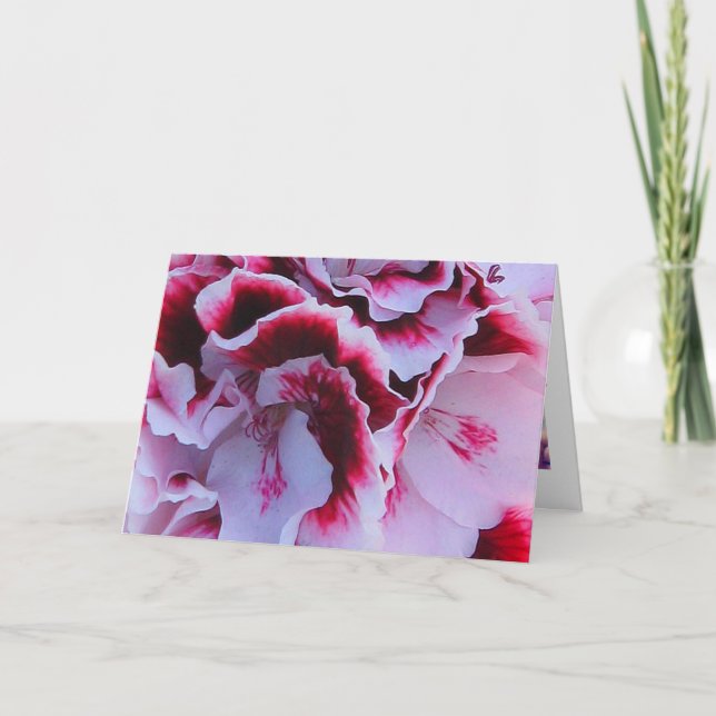 Ruffled Pelargonium Greeting Card Karte (Vorderseite)