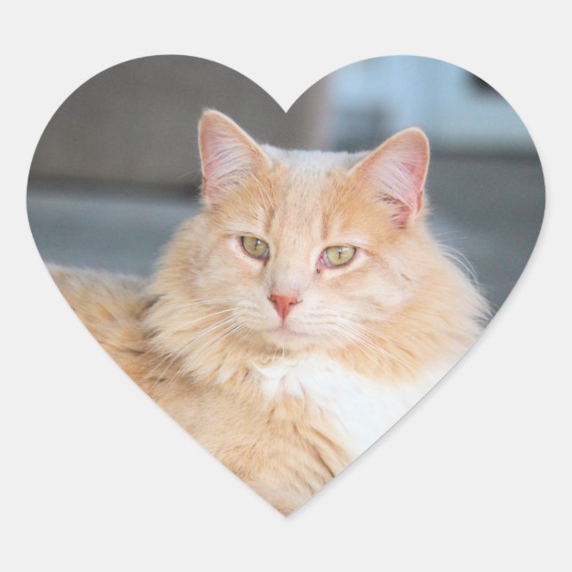 Ruffles Herz-Aufkleber (Vorderseite)