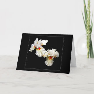 'Ruffles' leere Grußkarte Karte