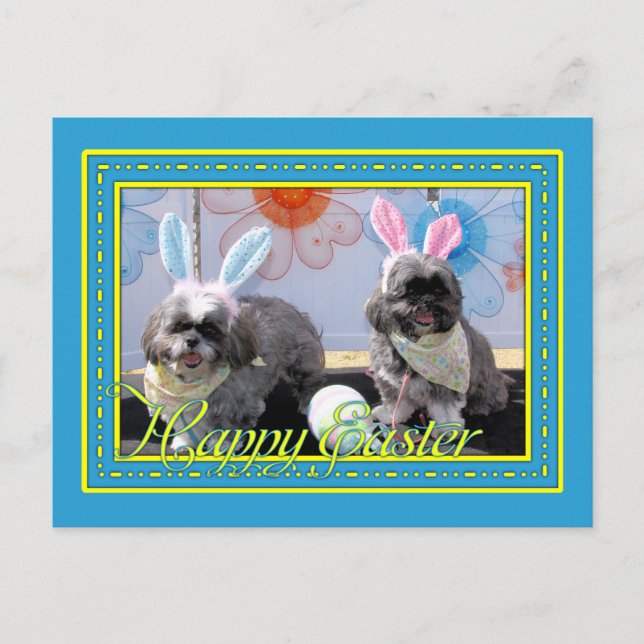 Ruffles_Riley_Shih_Tzu_Miller-2 Postkarte (Vorderseite)