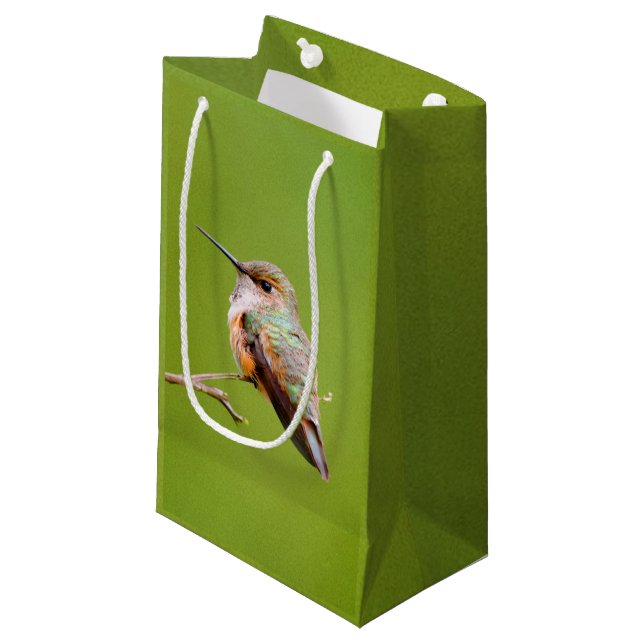 Rufous Hummingbird auf der Zweigstelle Kalifornien Kleine Geschenktüte (Vorderseite Schrägansicht)