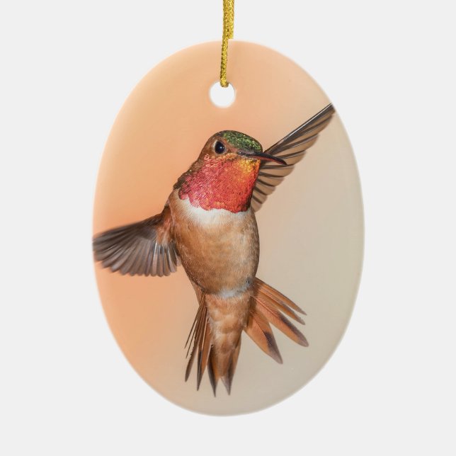 Rufous Hummingbird in Flug Monogram Name Keramik Ornament (Vorne)