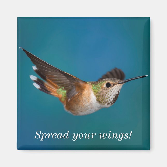 Rufous Hummingbird Magnet (Vorne)