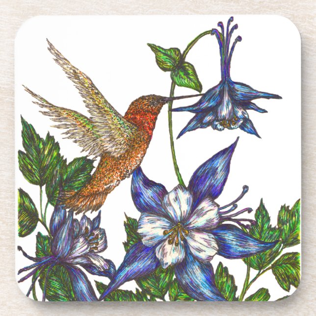 Rufous Hummingbird mit Columbinen Getränkeuntersetzer (Vorderseite)