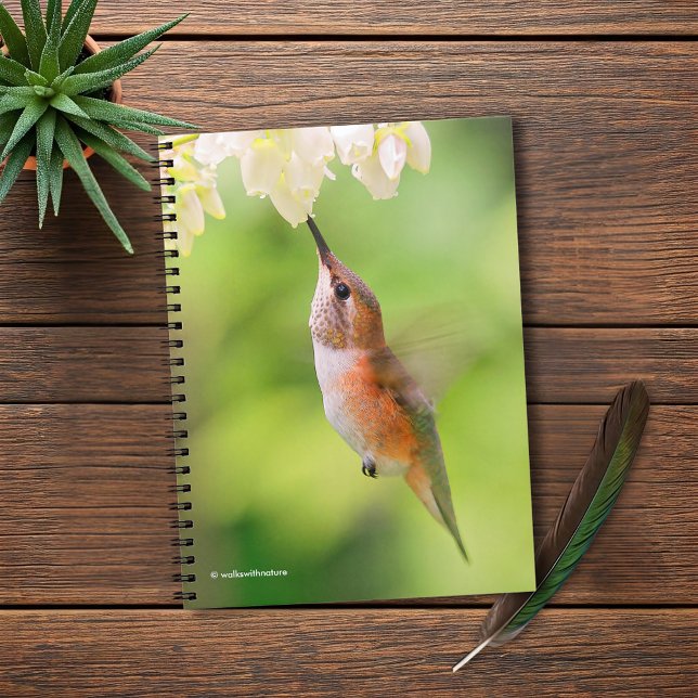 Rufous Hummingbird Sips Blueberry Blossom Nectar Notizblock (Rufous Hummingbird Sips Blueberry Flower Nectar Journal Cover Photo)