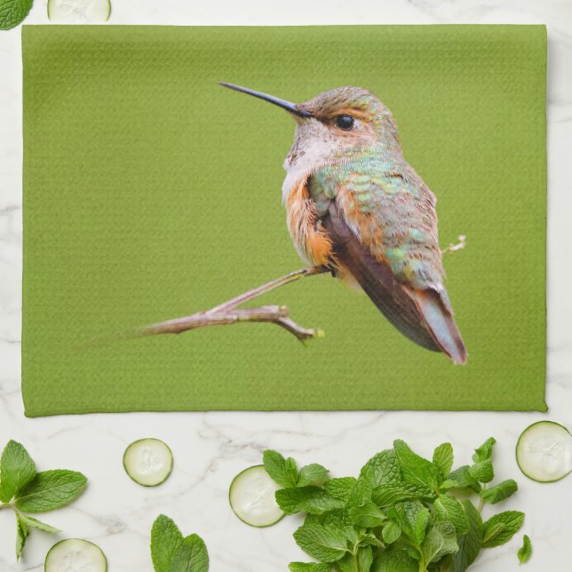 Rufous Hummingbird sitzt im kalifornischen Lilac Handtuch (Gefaltet)