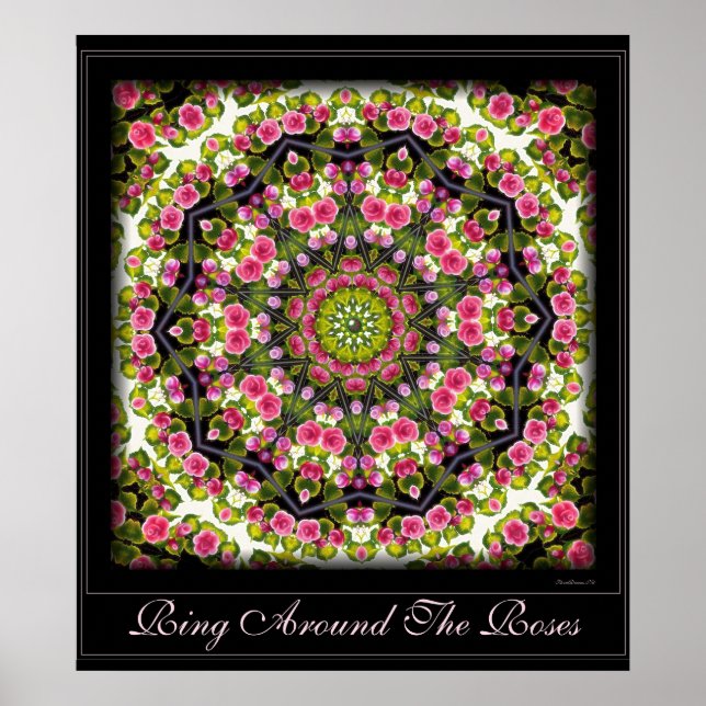 Ruft um die Rose herum. Poster (Vorne)