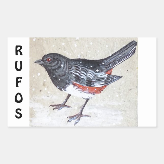 Rufus Sided Towhee Rechteckiger Aufkleber (Vorderseite)