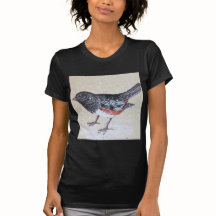 Rufus Sided Towhee