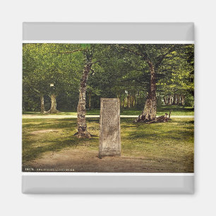Rufus Stone, New Forest, Winchester, England selte Magnet