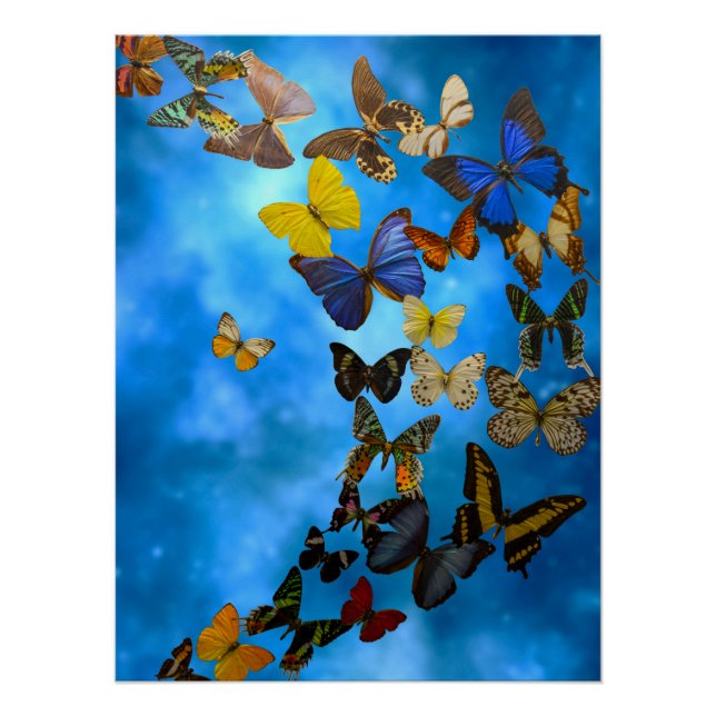 Rug Poster (Vorderseite)