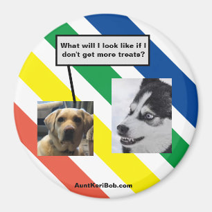 Ruger in Zukunft Magnet