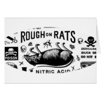 Rugueux sur des rats