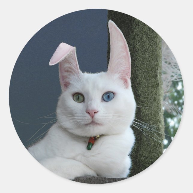 Ruhe als sonniger Aufkleber (Vorderseite)