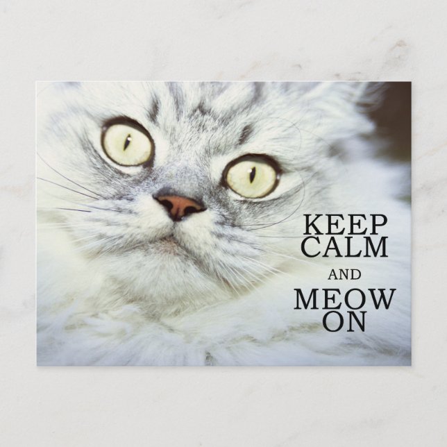 Ruhe behalt und Meow On Postkarte (Vorderseite)