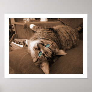 Ruhe im Twill Poster