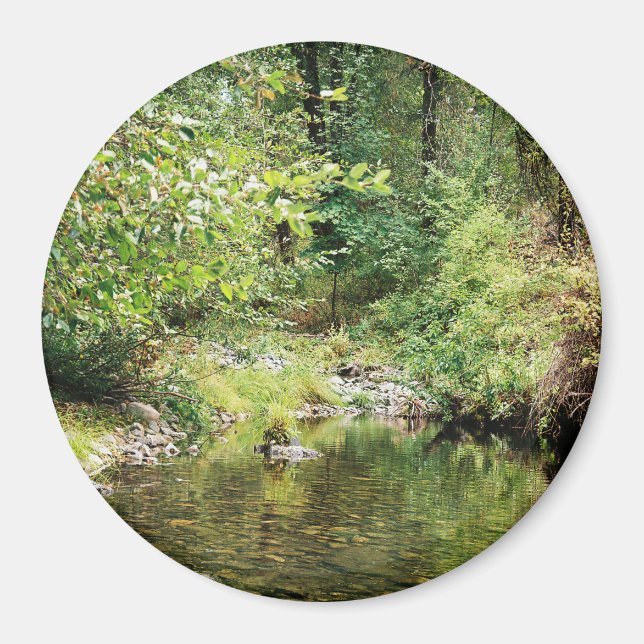 Ruhe im Wald...... Magnet (Vorne)