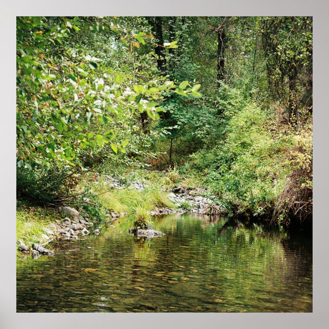 Ruhe im Wald...... Poster (Vorne)