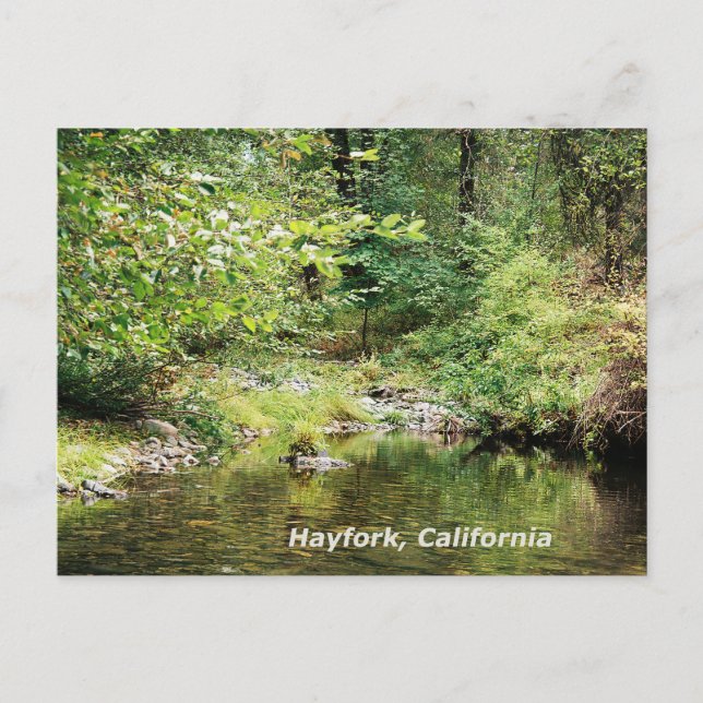 Ruhe im Wald....... Postkarte (Vorderseite)