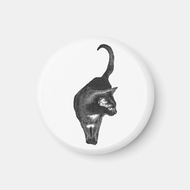 Ruhe-Katzen-Magnet Magnet (Vorne)
