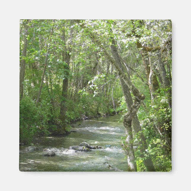 Ruhe.... Magnet (Vorne)