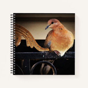 Ruhe Notizbuch