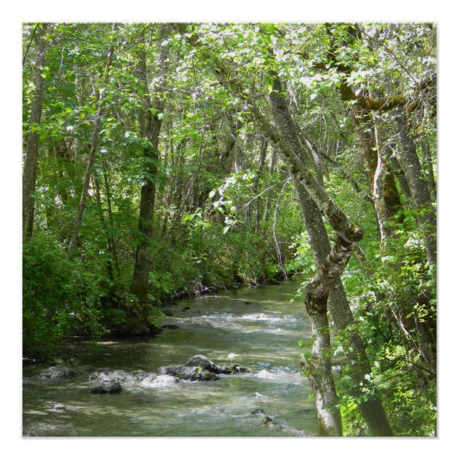 Ruhe.... Poster (Vorderseite)