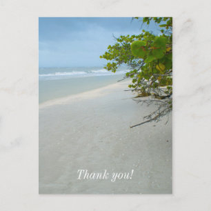 Ruhe und Erholung auf der Insel Sanibel Postkarte