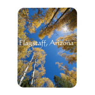 Ruhe und Gelassenheit Aspen Bäume, Flagstaff, Ari Magnet