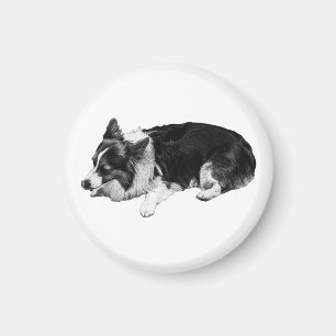 Ruhebereich-Wärme, Corgi Magnet