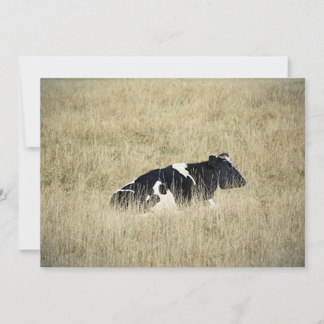 Ruhekuh - Einladung (Vorderseite)