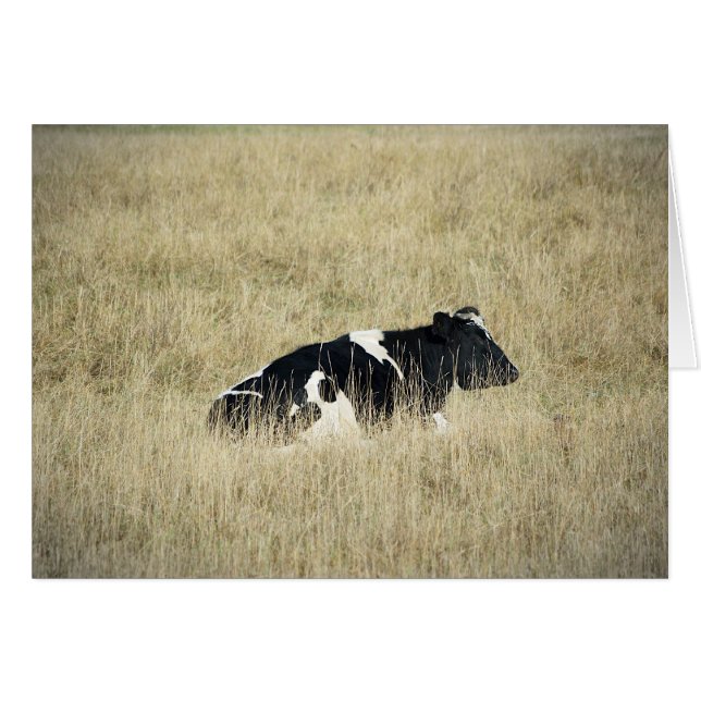 Ruhekuh - Karte (Vorderseite (Horizontal))