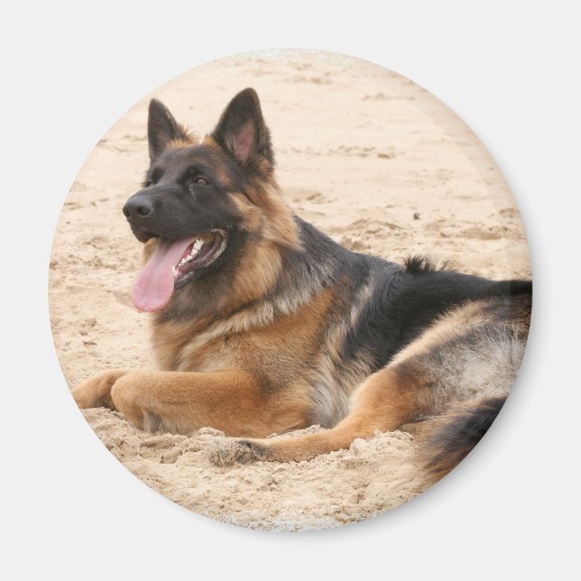 Ruhen des deutschen Schäferhundes Dog Magnet (Vorne)