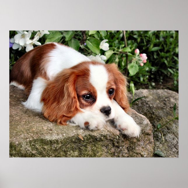 Ruhen Poster (Vorne)